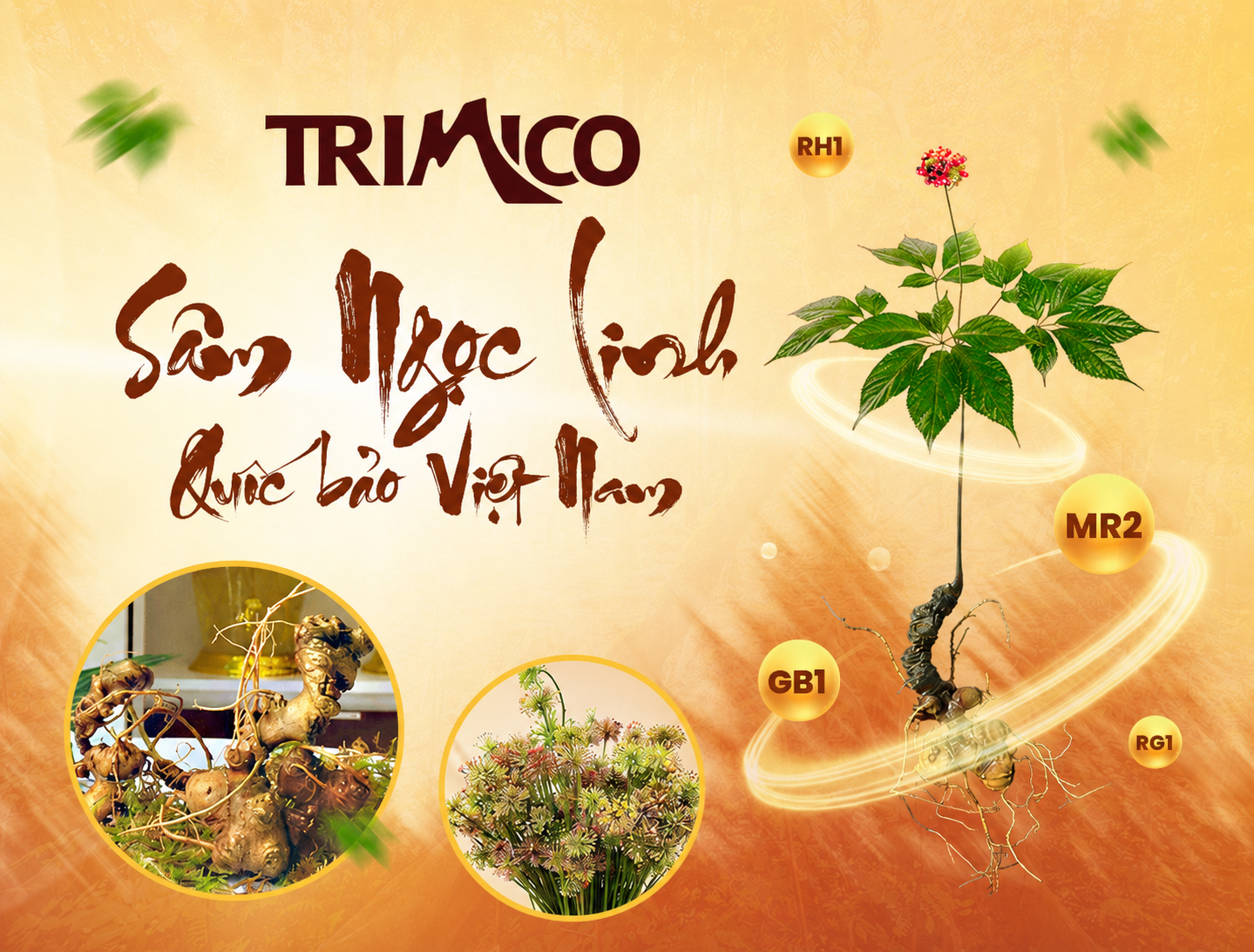 Trimico